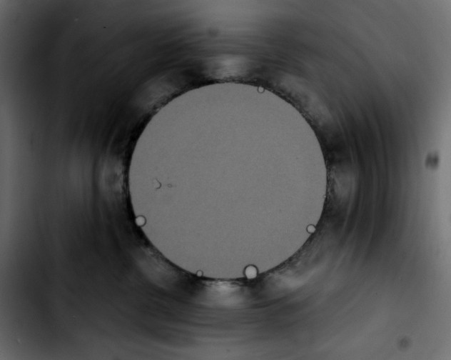 X0000103910380200810311438