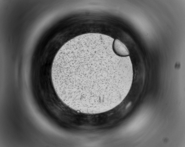 X0000103910383200810311438