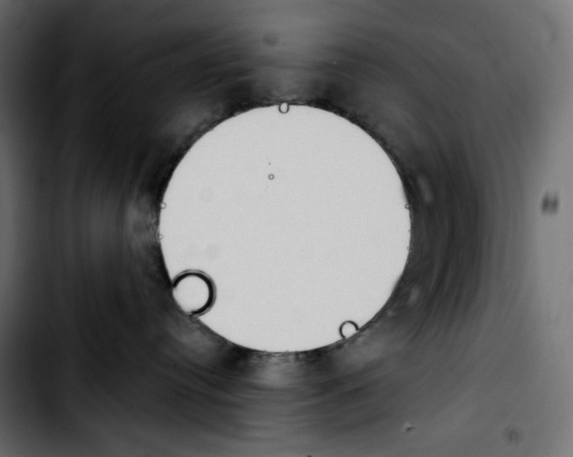 X0000103910384200810311438