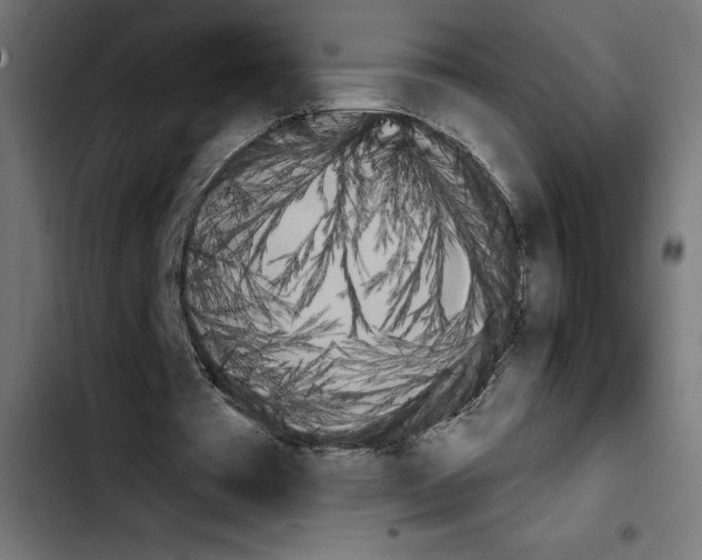 X0000103910385200810311437