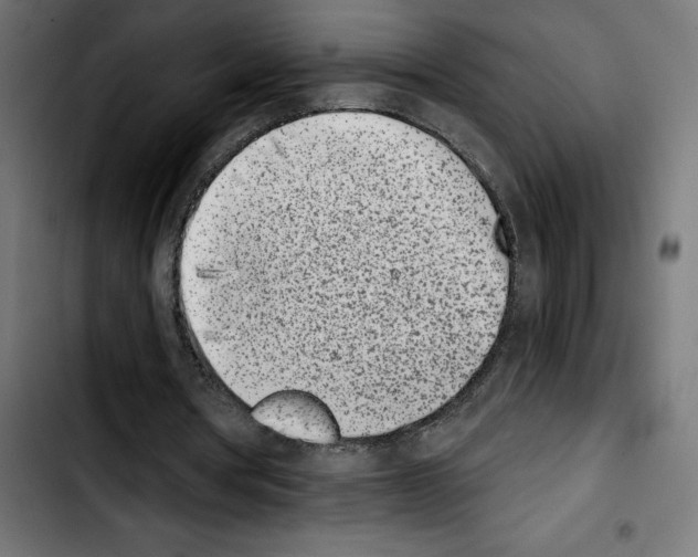 X0000103910386200810311437