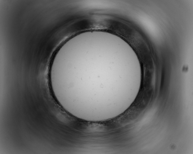 X0000103910387200810311437