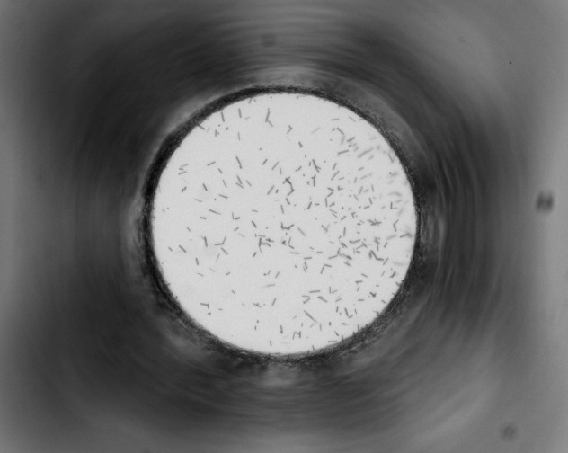 X0000103910388200810311437