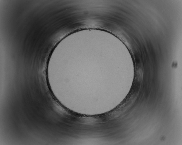X0000103910389200810311437