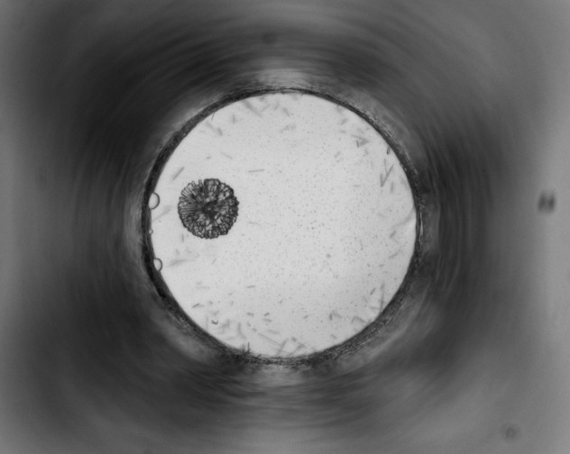 X0000103910390200810311437