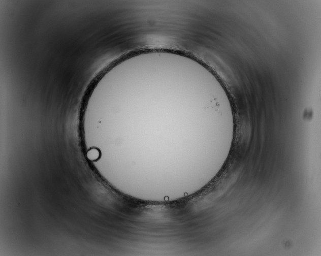 X0000103910391200810311437