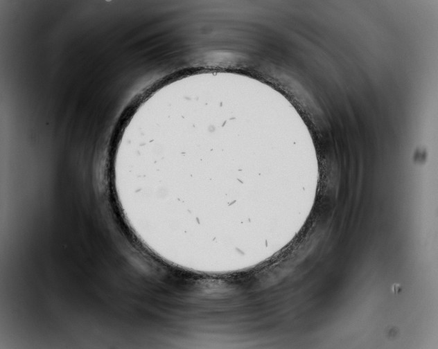 X0000103910392200810311437
