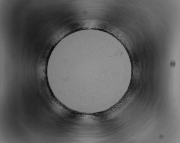 X0000103910393200810311437