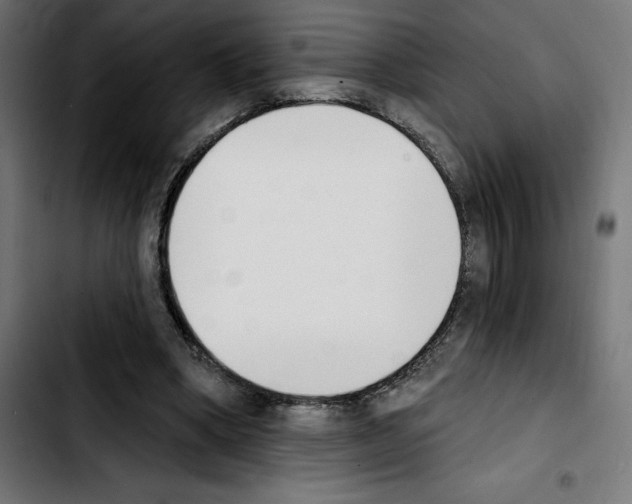 X0000103910394200810311437