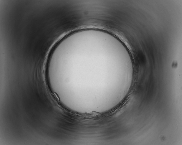 X0000103910395200810311437