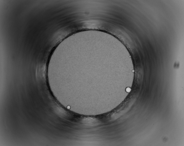 X0000103910397200810311437