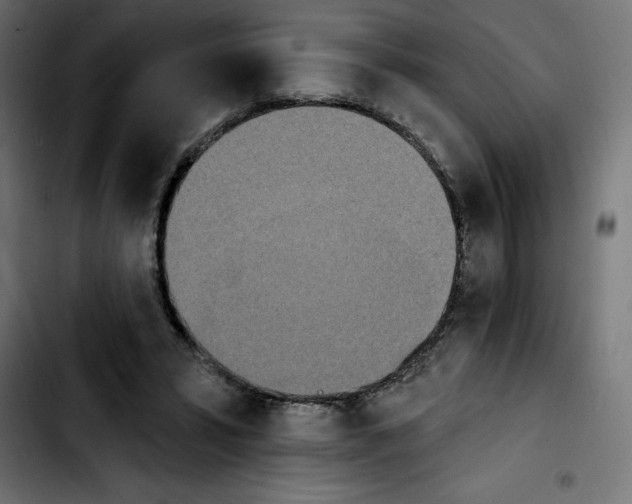 X0000103910399200810311437