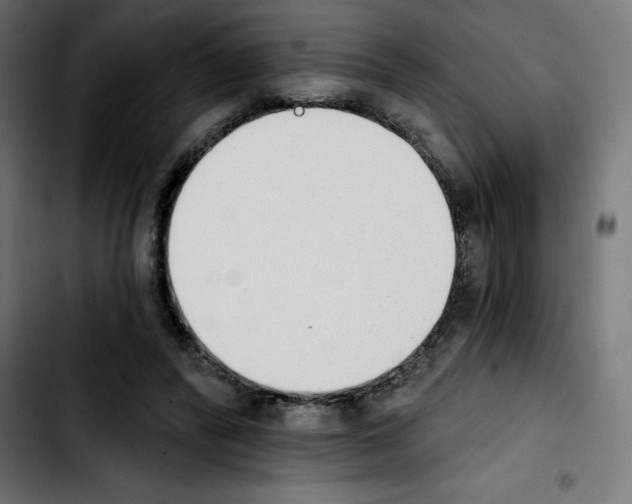 X0000103910400200810311437