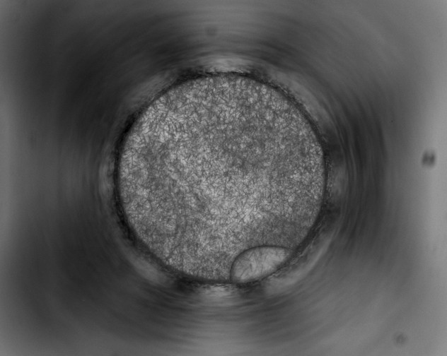 X0000103910402200810311437