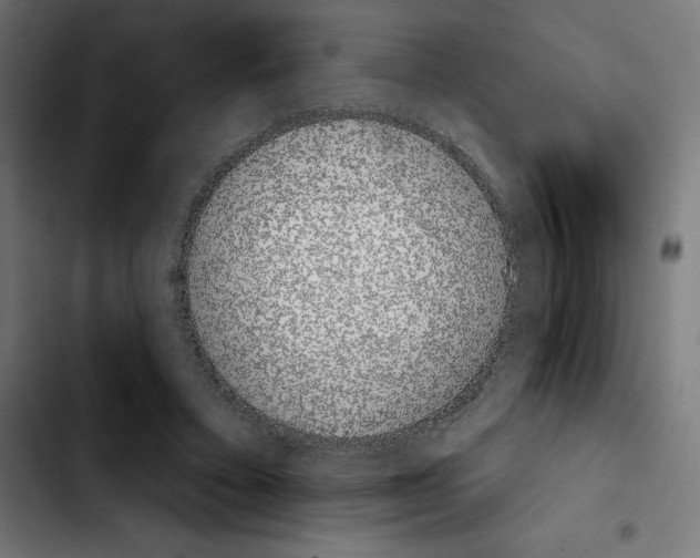 X0000103910403200810311437