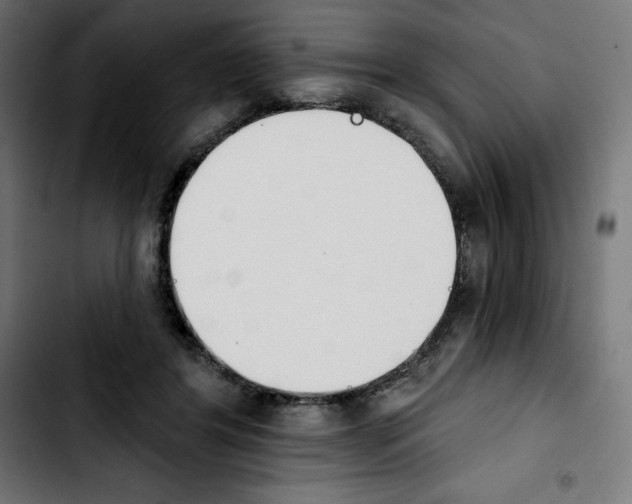 X0000103910404200810311437