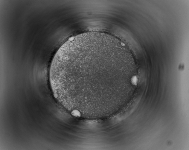 X0000103910405200810311437