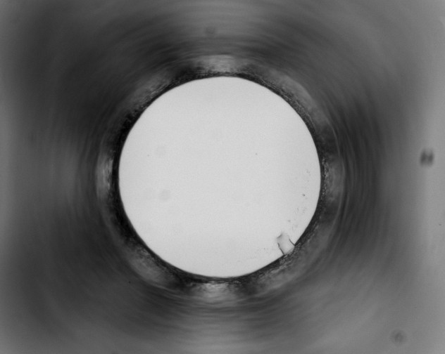 X0000103910406200810311437