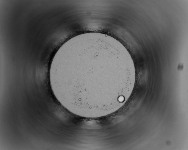 X0000103910407200810311437