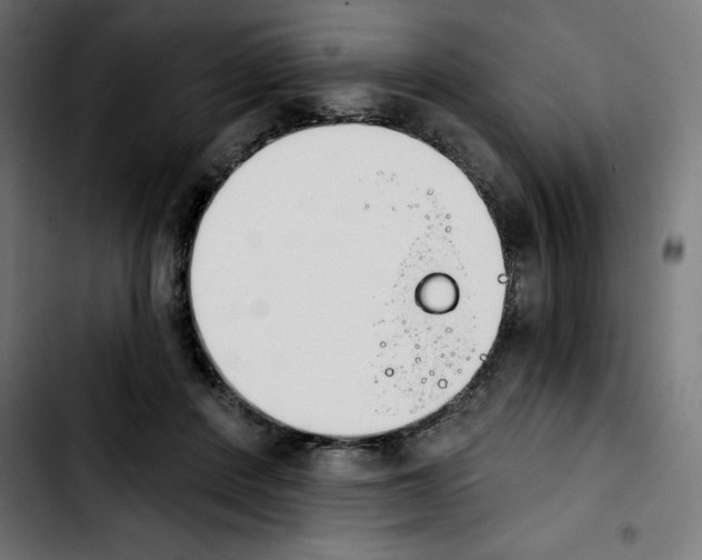 X0000103910408200810311437