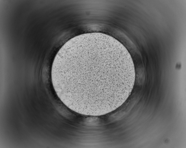 X0000103910410200810311437