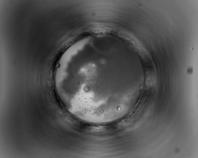 X0000103910411200810311437