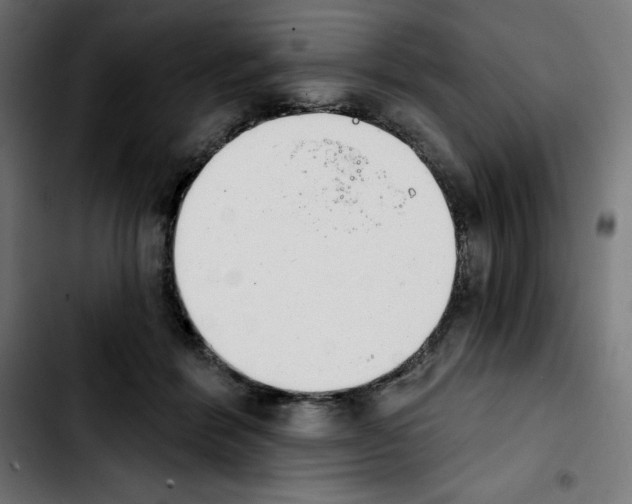 X0000103910412200810311437