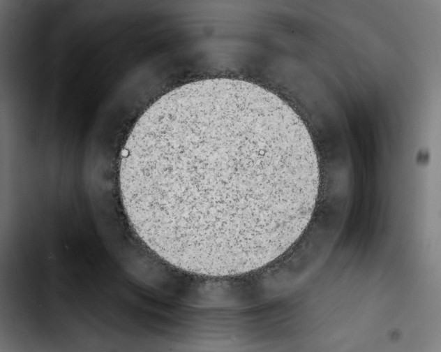X0000103910413200810311437