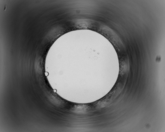 X0000103910414200810311437
