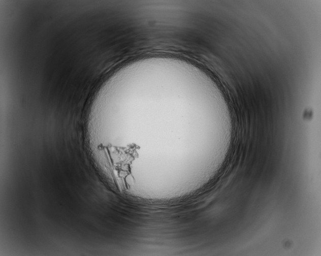 X0000103910415200810311437