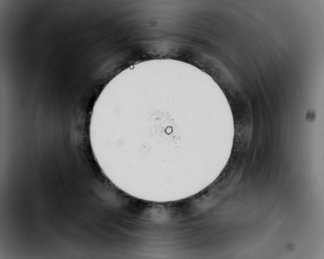 X0000103910416200810311436