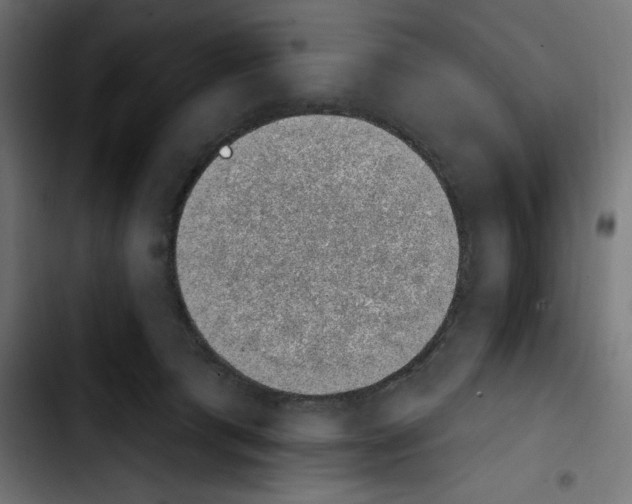 X0000103910417200810311436