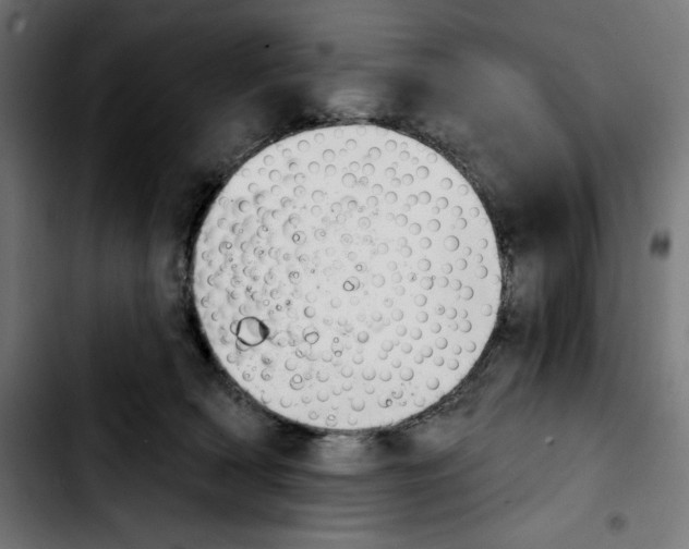 X0000103910418200810311436