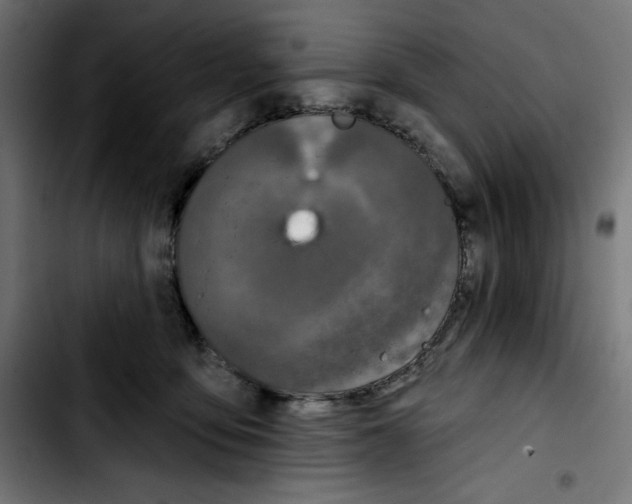 X0000103910419200810311436