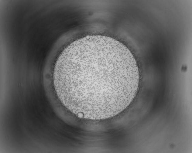 X0000103910421200810311436