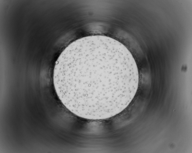 X0000103910422200810311436