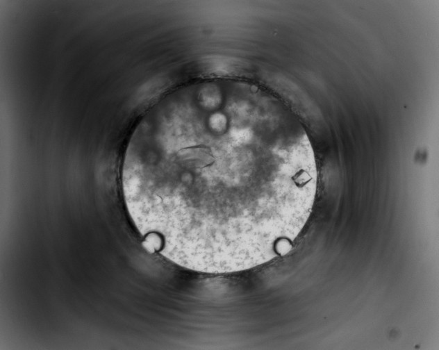 X0000103910423200810311436