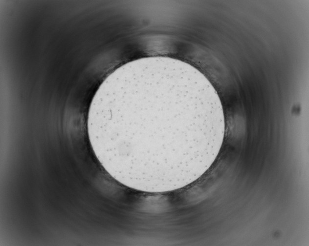 X0000103910426200810311436