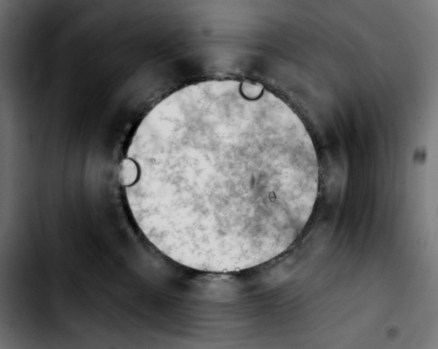 X0000103910427200810311436