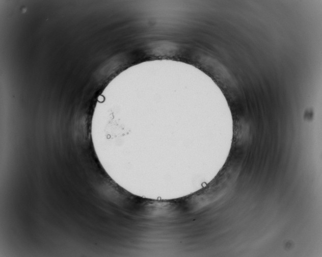 X0000103910428200810311436