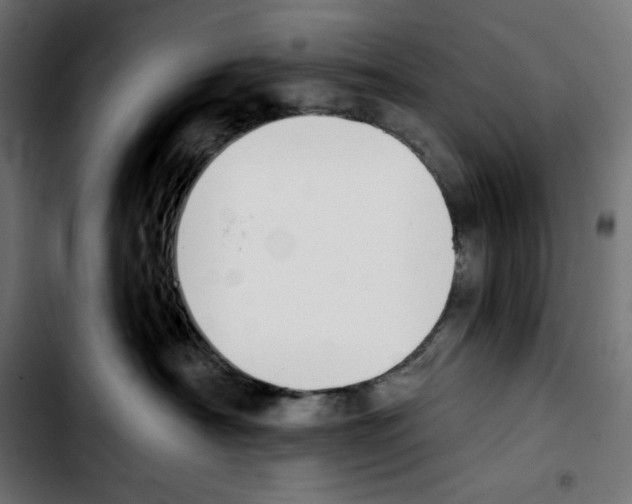 X0000103910430200810311436