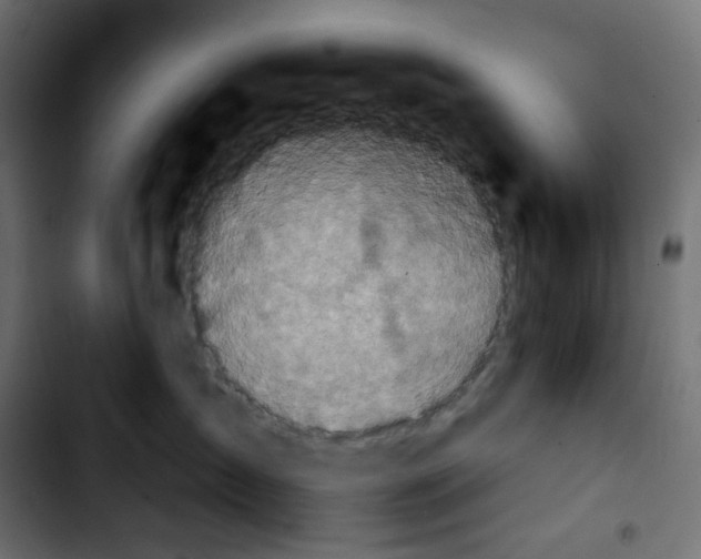 X0000103910431200810311436