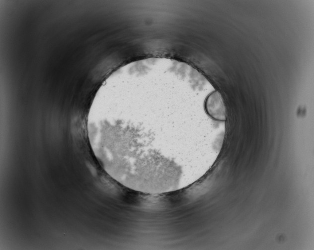 X0000103910432200810311436