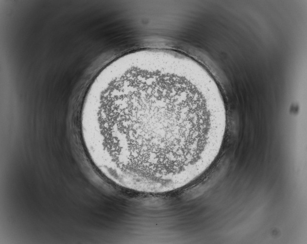 X0000103910433200810311436