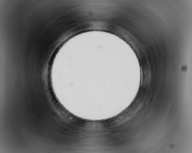 X0000103910435200810311436