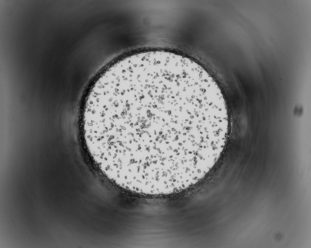 X0000103910436200810311436