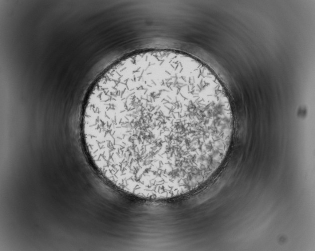 X0000103910437200810311436
