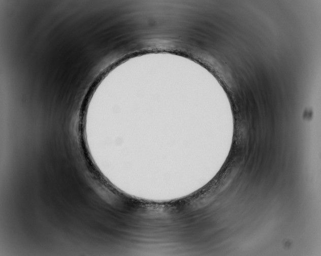 X0000103910439200810311436