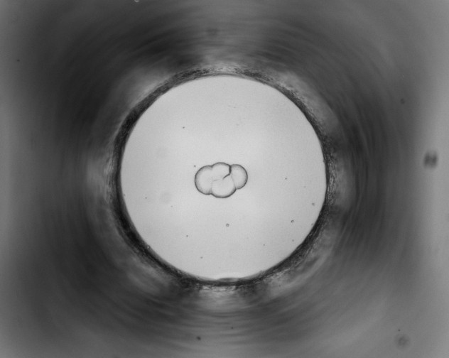 X0000103910440200810311436