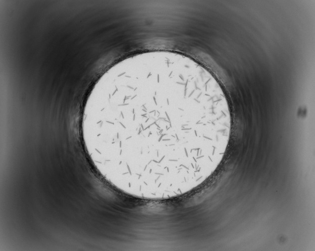 X0000103910441200810311436